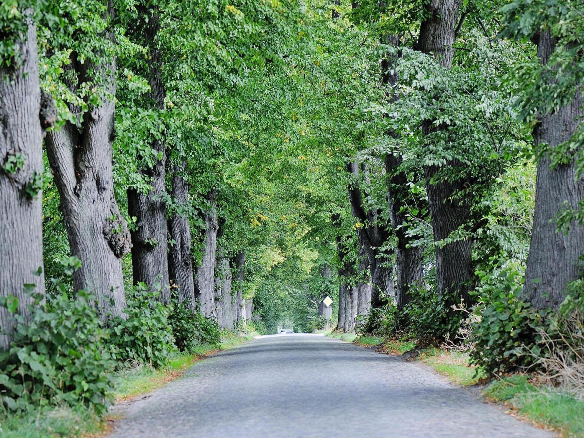 Gutshaus Zicker In Garz Villa Garz  Exteriör bild